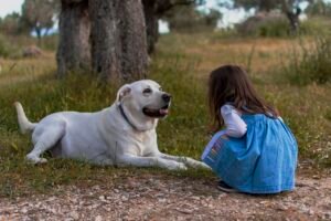 razas de perros para familias con niños