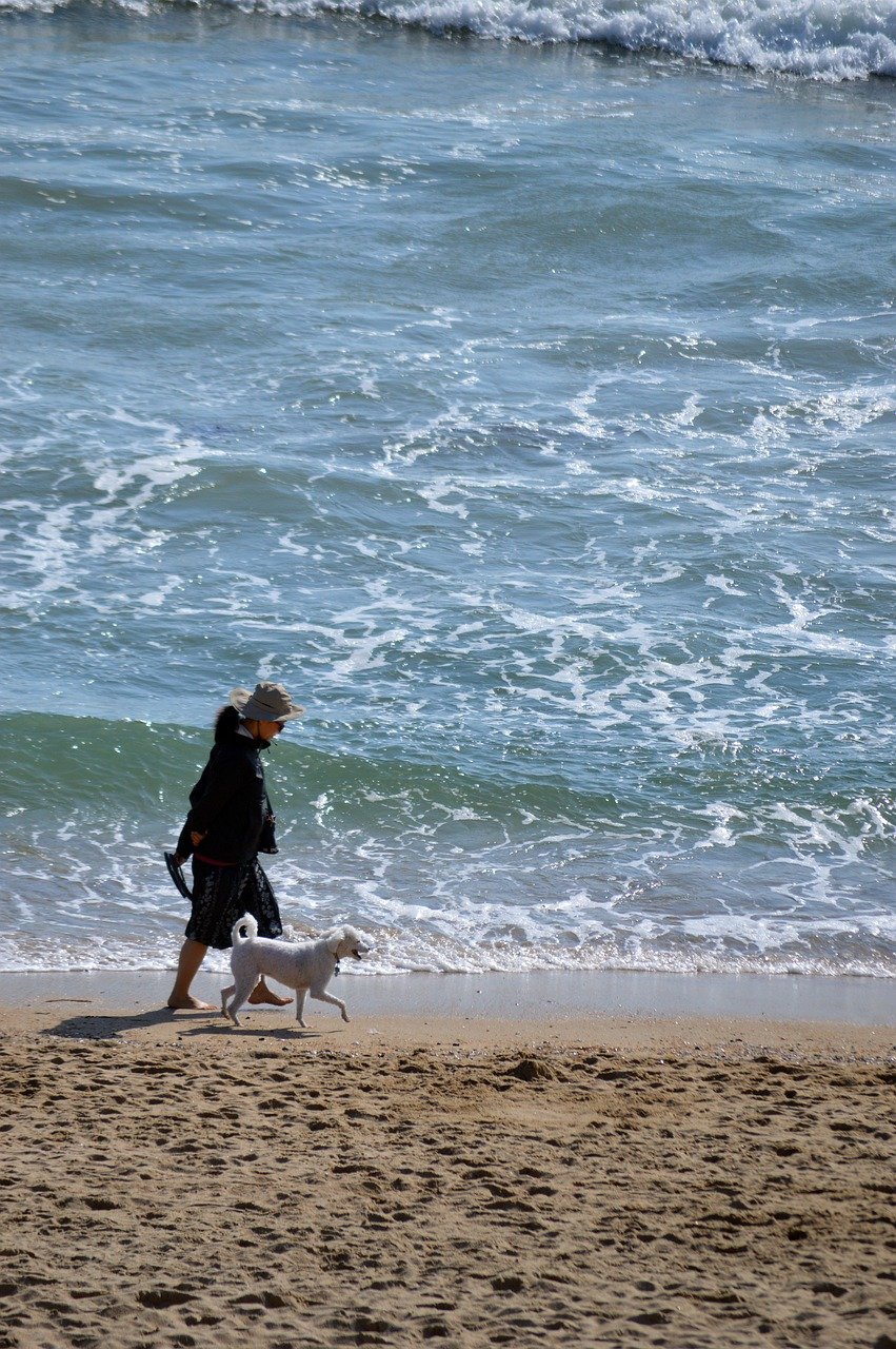 playa para perros Alicante