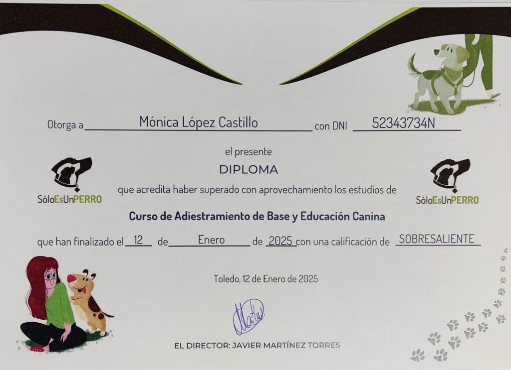 Adiestramiento y educación canina